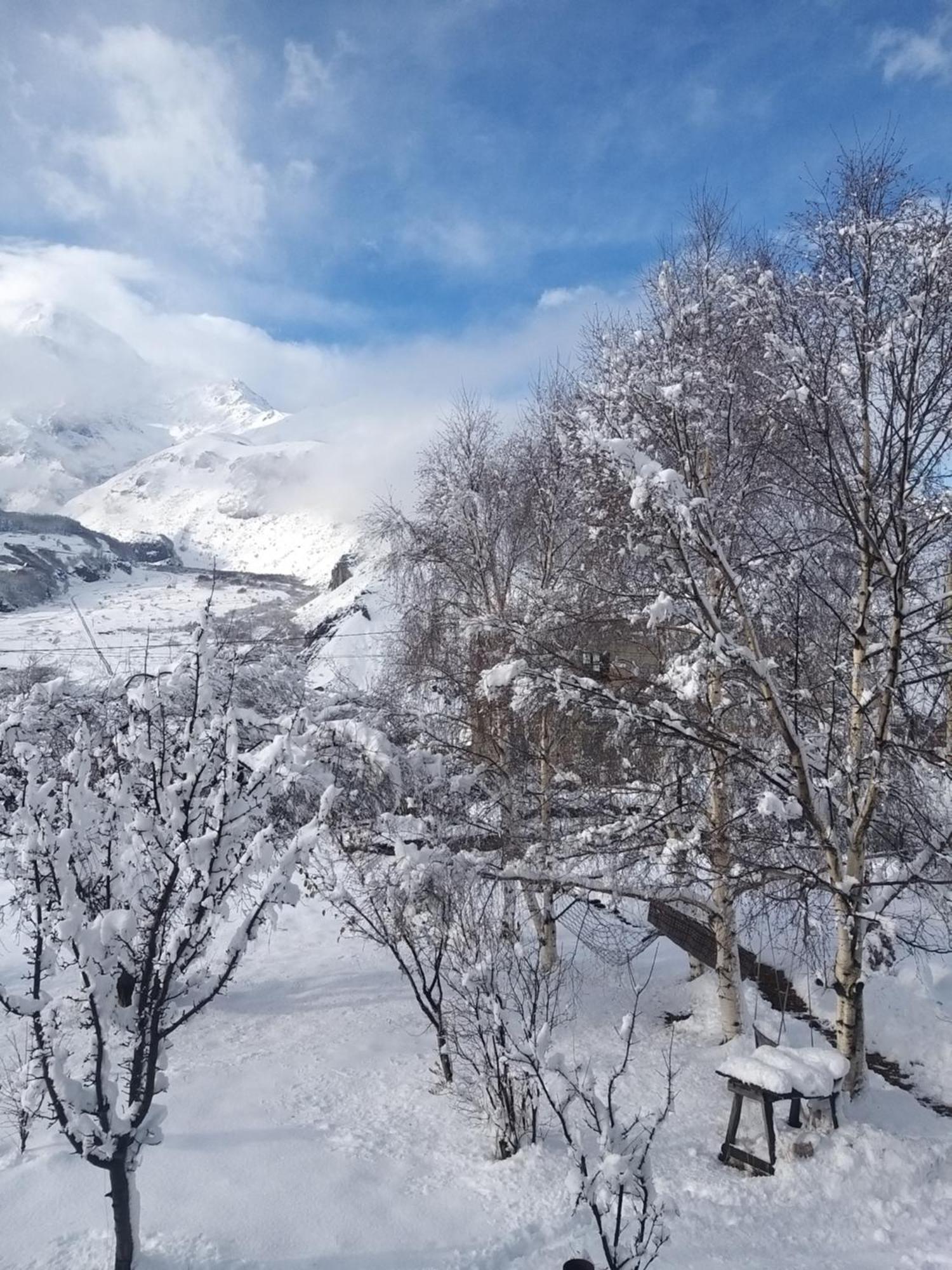 Emotion Kazbegi Apartment Room photo